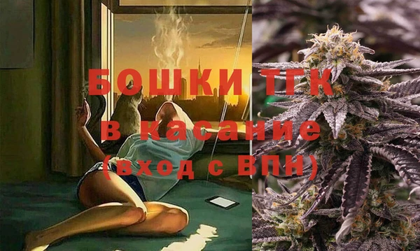 гидропоника Рославль