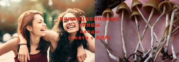 MESCALINE Аркадак